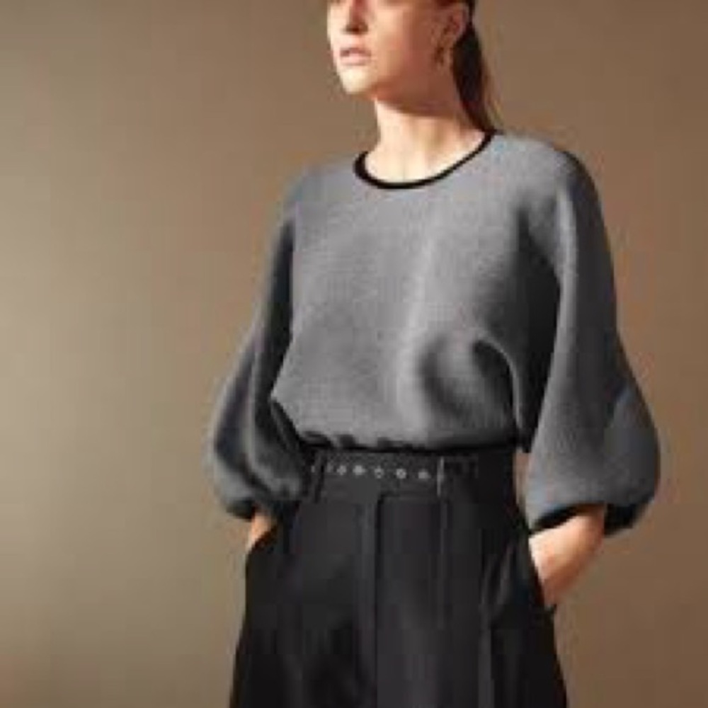 Aritzia Babaton saberi ballon sleeve top